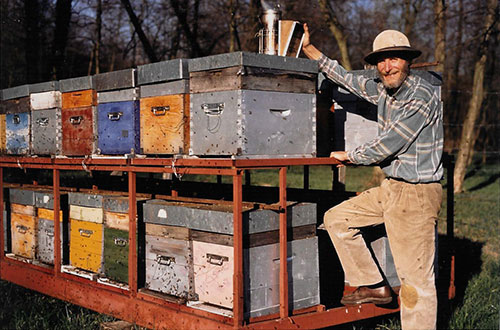 Yves et Batrice Dufour reconvertissent dans l'apiculture