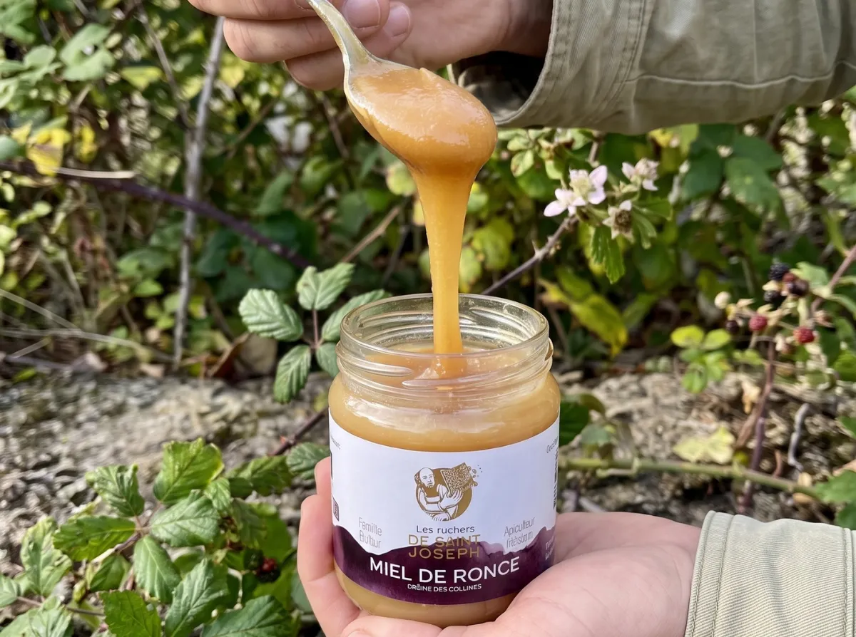 Cuillère plongeant dans un pot de miel de ronce crémeux tenu à la main dans un cadre naturel.