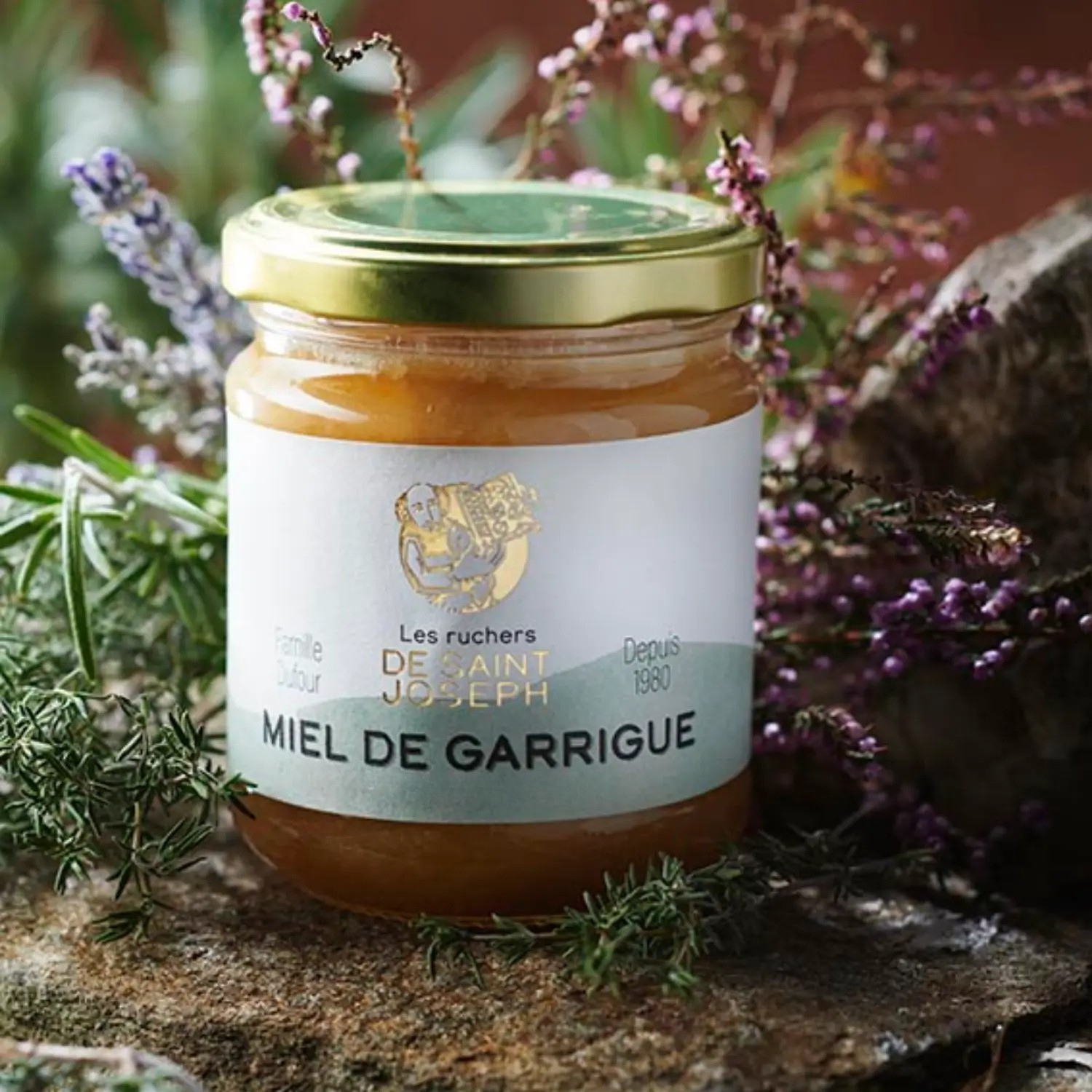 Mise en situation du miel de garrigue des Ruchers de Saint Joseph
