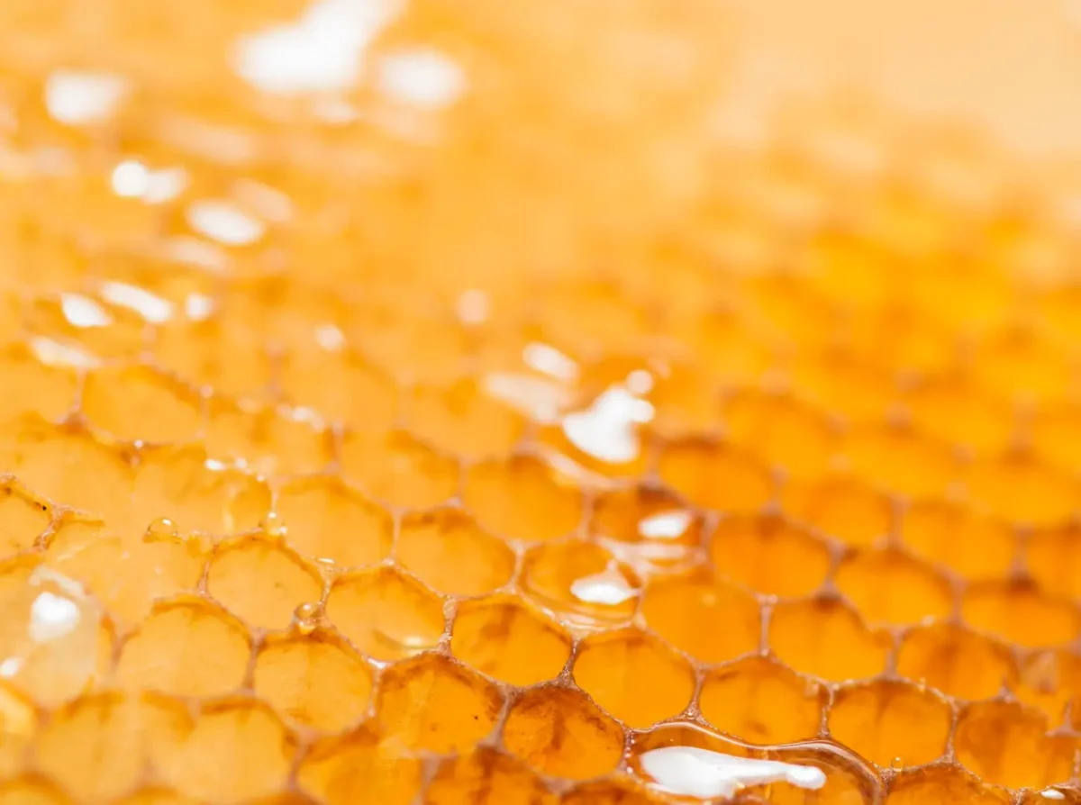 Miel pur et cire d'abeille fraîche des Ruchers de Saint-Joseph | Ingrédient de base du baume à lèvres naturel Drôme